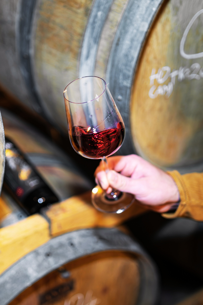 Untitled design (14)